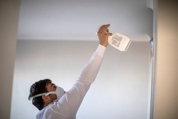 Best Professional Mold Removal  in Presquille, LA