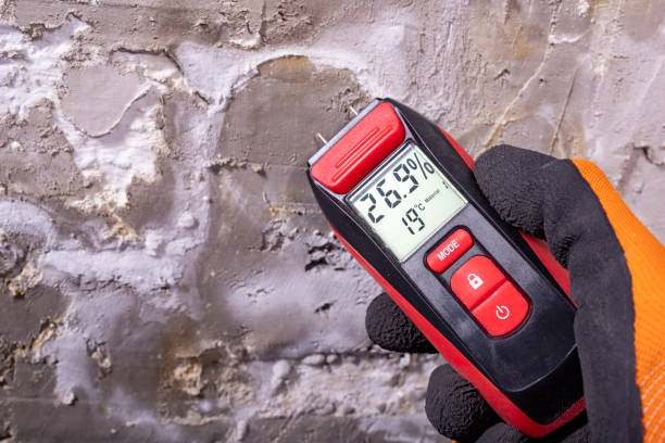Best Water Damage Restoration  in Presquille, LA