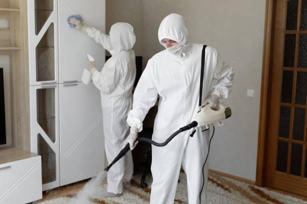 Best Mold Damage Repair  in Presquille, LA